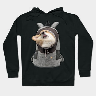 Sleeping Dog Hoodie